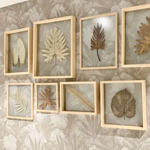 Frame Daun Kering