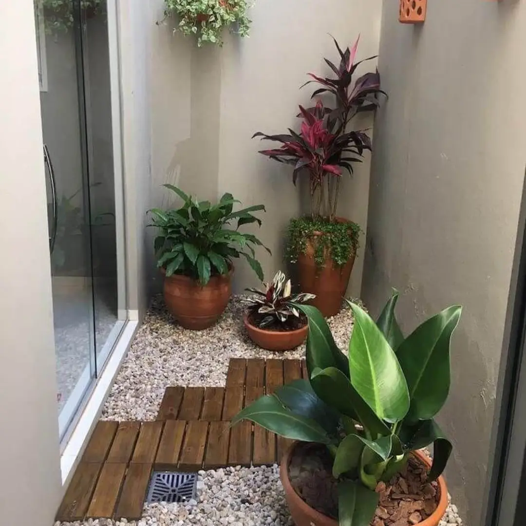 Taman Belakang Mini