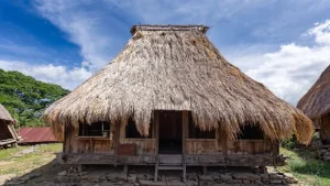 Read more about the article Rumah Adat NTT Apa Saja? Ini Daftar Nama dan Penjelasannya!